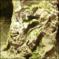 Mit 'dreckigen' Farbwasser anstreichen und anschlie&szlig;end mit Drahtb&uuml;rste stellenweise Kratzer einkerben. Danach Felsenk&auml;mme und Hohlr&auml;ume (eine Richtung!) mit Tapetenleim betupfen und Kunstgras bestreuen.